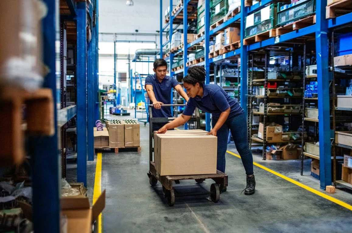 Warehouse Labour